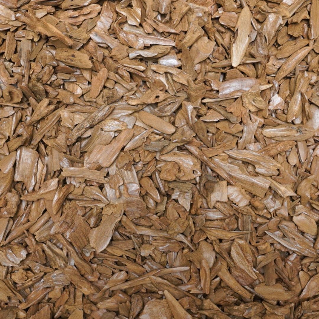 ماروكي كينج