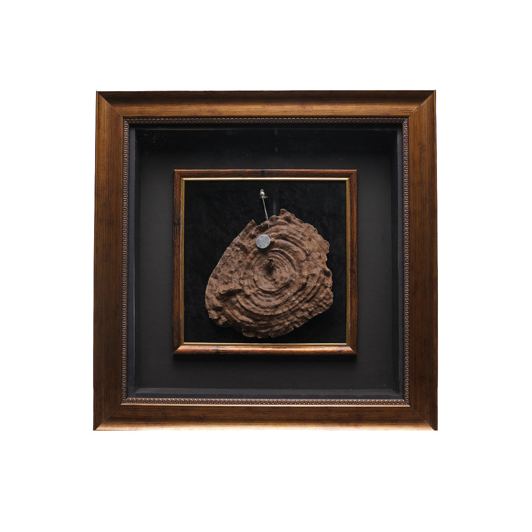 تحفة تشار 68