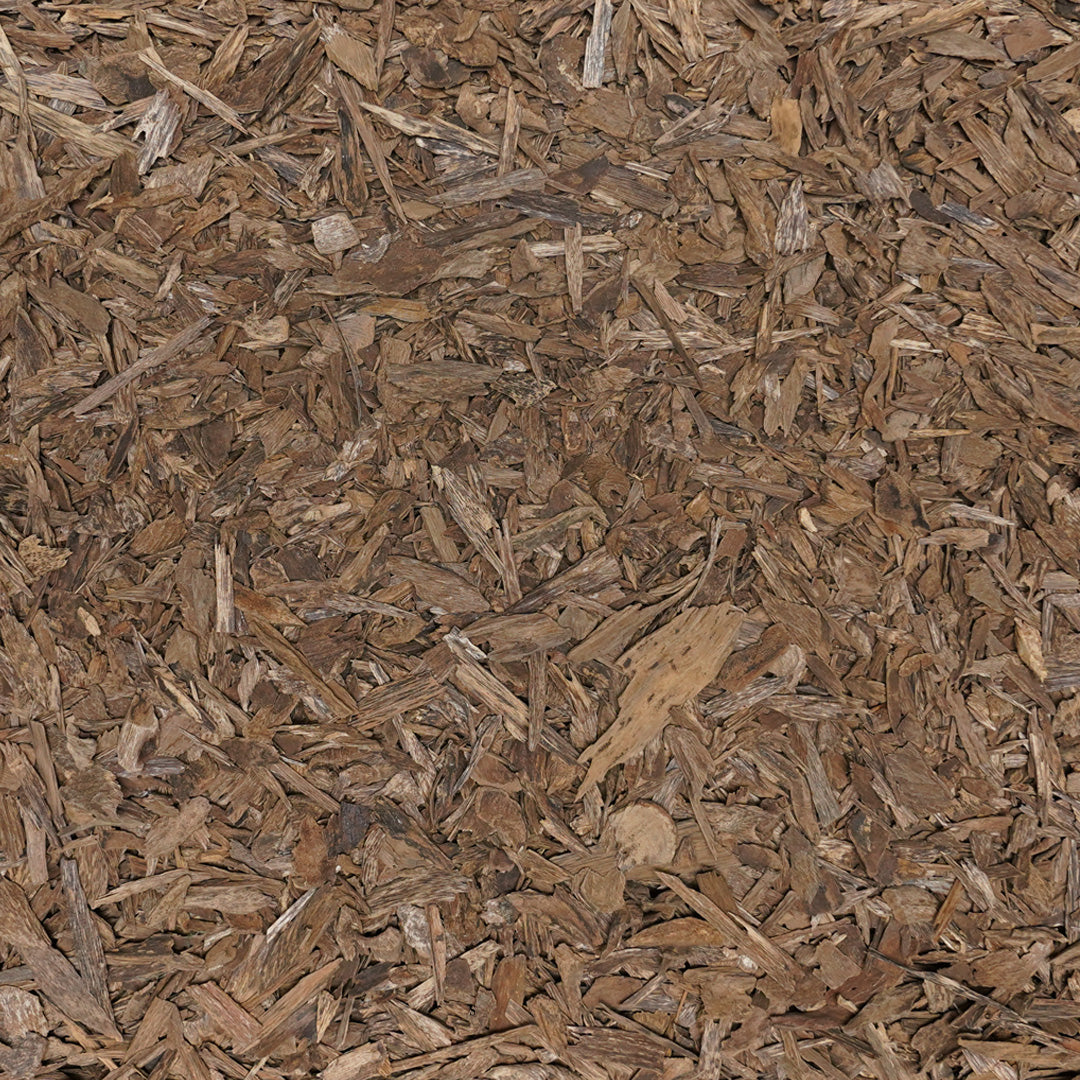 قشور الذهب كلمنتان بونتيانك