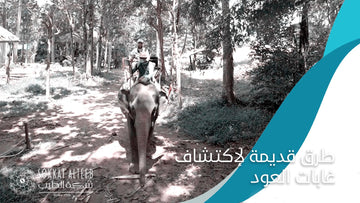 طرق قديمة لاكتشاف غابات العود