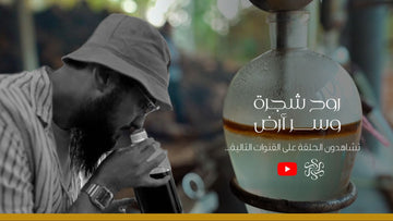 روح شجرة وسر أرض