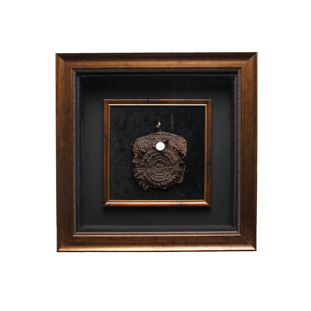 تحفة تشار 49