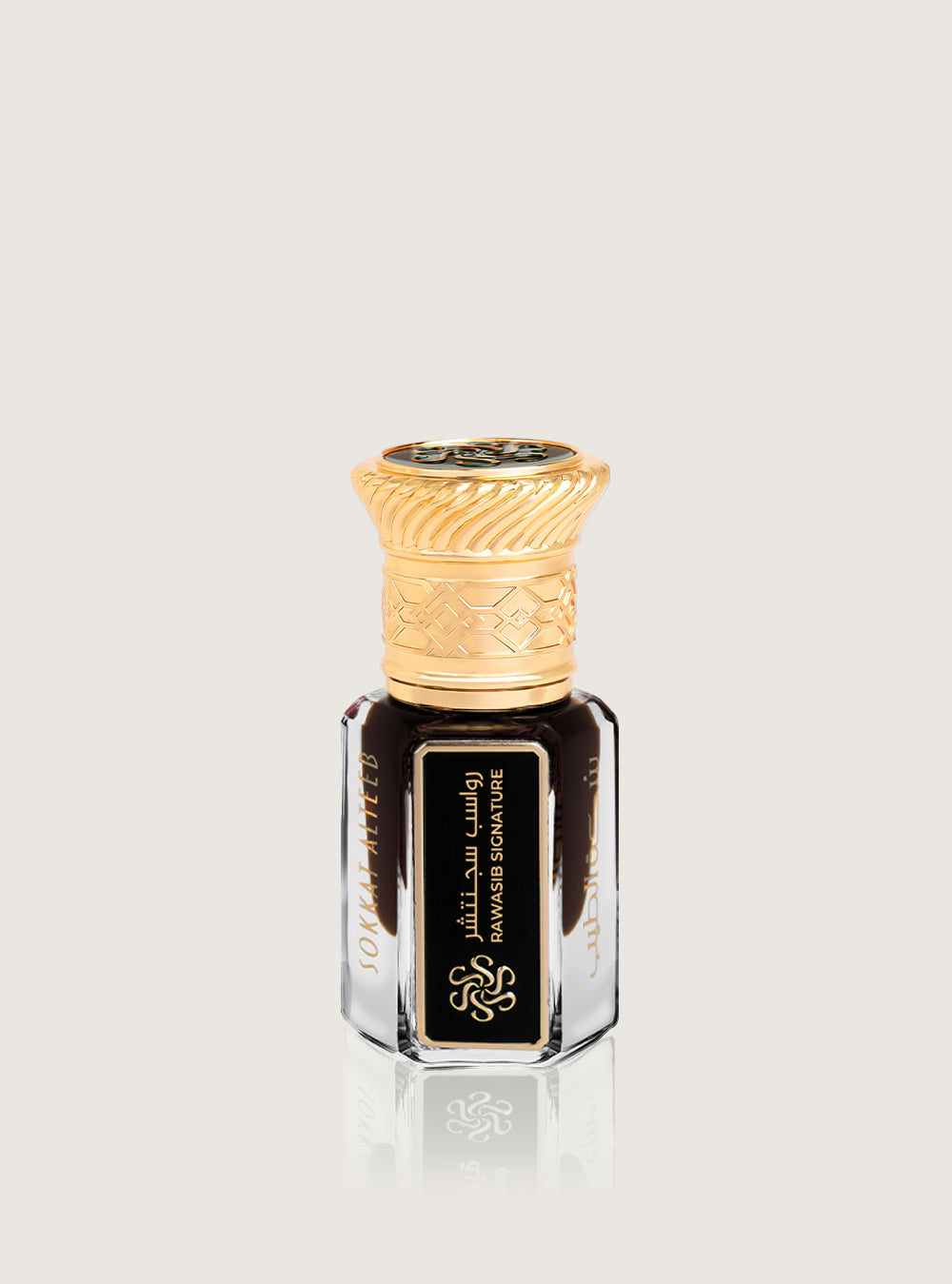 رواسب سجنتشر