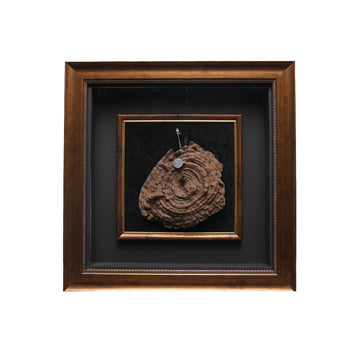 تحفة تشار  68