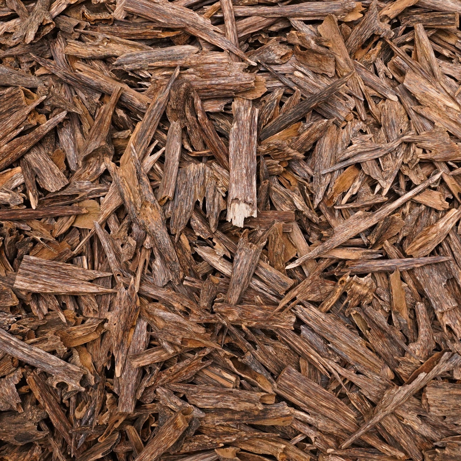 عود هندي شوكليت