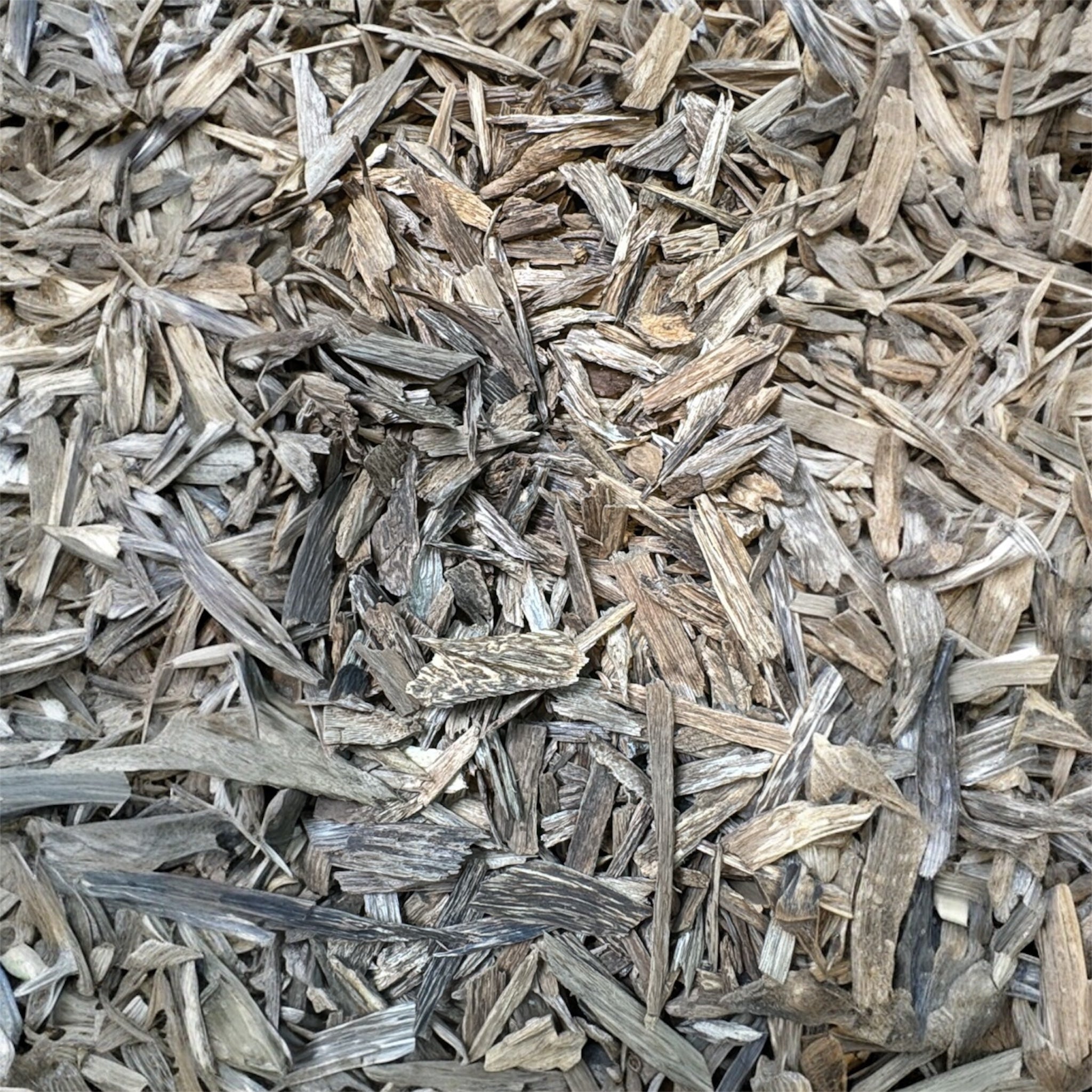 عود كلمنتان بيت العائلة