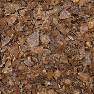 عود سيلاني قواقع وقشور