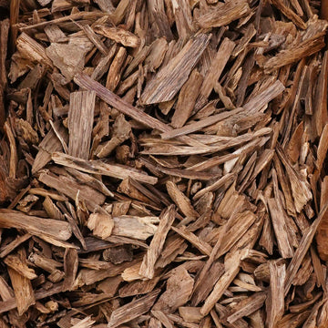 كلمنتان قشور ناهي