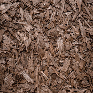 كلمنتان بنتيانك سوبر